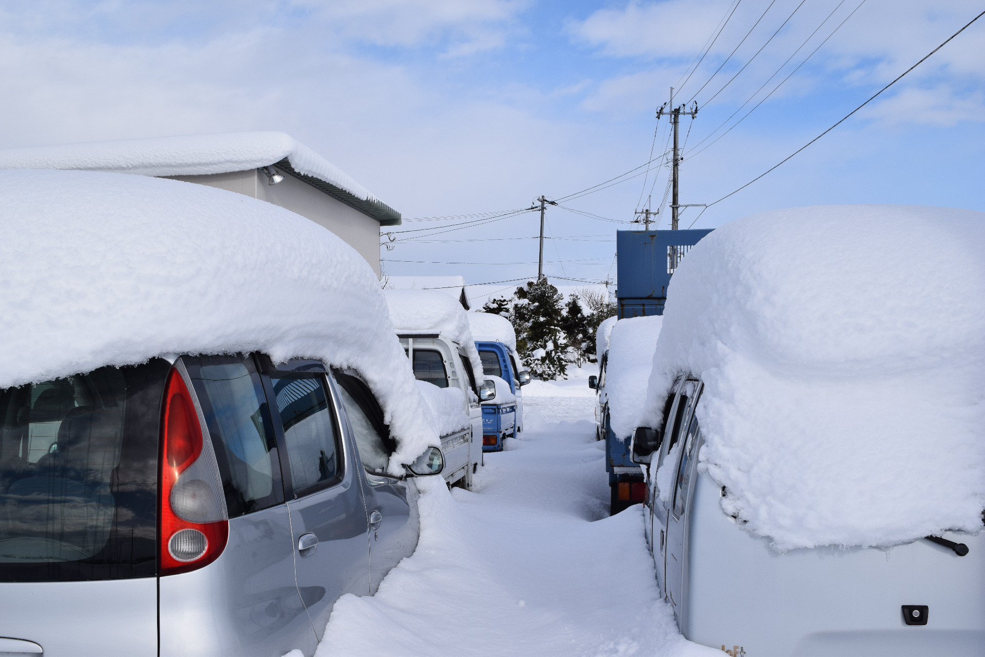 雪に注意してください